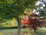 223 Plattekill Road - Photo 34