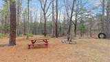 226 Blue Mountain Road - Photo 36