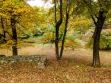 115 Old Roaring Brook Road - Photo 10