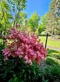 15 Unity Lane - Photo 40
