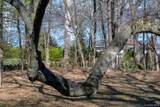 23 Clinton Avenue - Photo 43