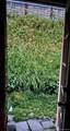 599 Abeel Street - Photo 24
