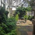 64-07 68th Street - Photo 11