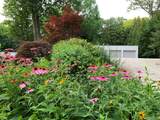 54 Cross Pond Road - Photo 43
