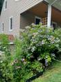12 Anita Court - Photo 3