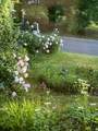 12 Anita Court - Photo 28