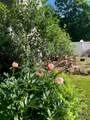 12 Anita Court - Photo 30
