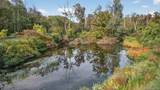 23 Creek Road - Photo 24