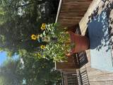 12 Davis Street - Photo 15