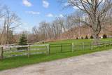 6 Annarock Drive - Photo 12