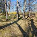 41 Wildwood Drive - Photo 4