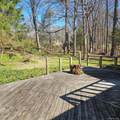 41 Wildwood Drive - Photo 6