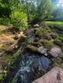 542 Mitchell Hollow Road - Photo 20