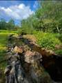 542 Mitchell Hollow Road - Photo 21