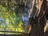 64 Cumberland Trail - Photo 24