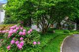 200 Cleft Road - Photo 3