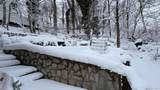 1673 Northern Boulevard - Photo 14