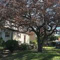 16702 73rd Avenue - Photo 1