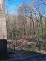 20 Oakwood Trail - Photo 3