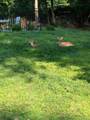 98 Greenbush Road - Photo 34