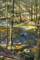 101 Minisink Turnpike - Photo 38