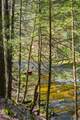 101 Minisink Turnpike - Photo 39