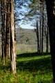 151 Benson Hill Road - Photo 9