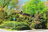 50 Cedar Street - Photo 1