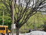 8410 101 Street - Photo 8