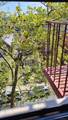 61 Oliver Street - Photo 4