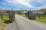 4 Star Cobb Lane - Photo 45