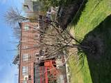 1056 Swinton Avenue - Photo 30
