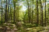 4317 Ny 23 - Photo 47
