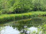 894 Upper Mountain Road - Photo 22