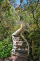 16 Lewis Road - Photo 49