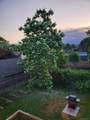 216 Catherine Street - Photo 40