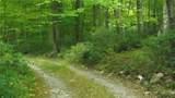  Roosa Gap Road - Photo 18