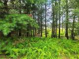 Lot 23 Deer Meadow Road - Photo 24