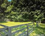 5 Wesley Court - Photo 25