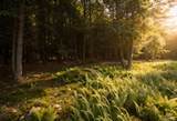 Lot 5 Timber Drive - Photo 3