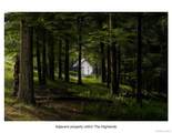 Lot 5 Timber Drive - Photo 5