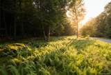 Lot 5 Timber Drive - Photo 8