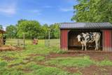 315 Bellvale Lakes Road - Photo 36