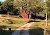 38 Landing Meadow Road - Photo 38