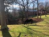 38 Landing Meadow Road - Photo 41