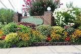 3530 Long Beach Road - Photo 1