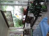 49 Dwyer Avenue - Photo 5