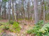 LOT 34 Pine Kill Roa Pine Kill Road - Photo 4