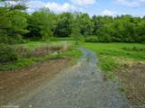  Skunks Misery Lot 1 Road - Photo 28