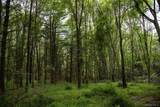 Lot 1 Chapin Trail - Photo 2